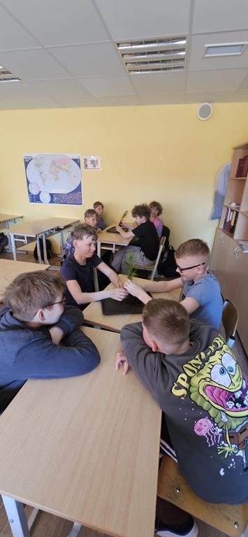 “Bonsai ceļojums ekosistēmā”